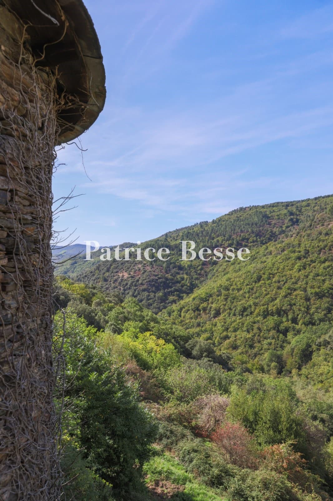 Historic Castle with Feudal Keep and 30 Hectare Estate in Cévennes 5