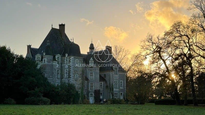 Charming Renaissance Château with Expansive Park and Twelve Bedrooms 3