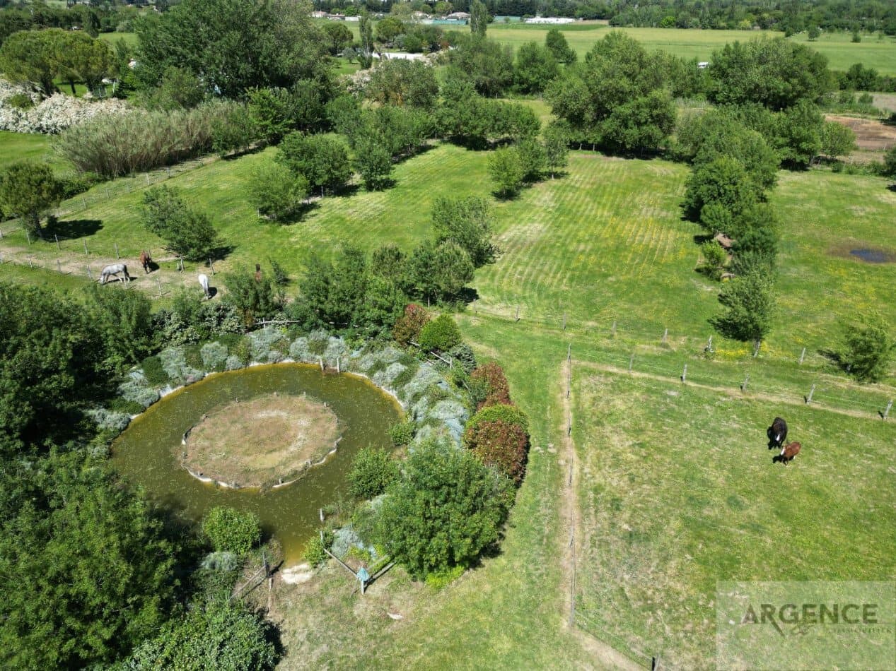 Stunning Equestrian Estate With Large Family Home And Extensive Facilities 3