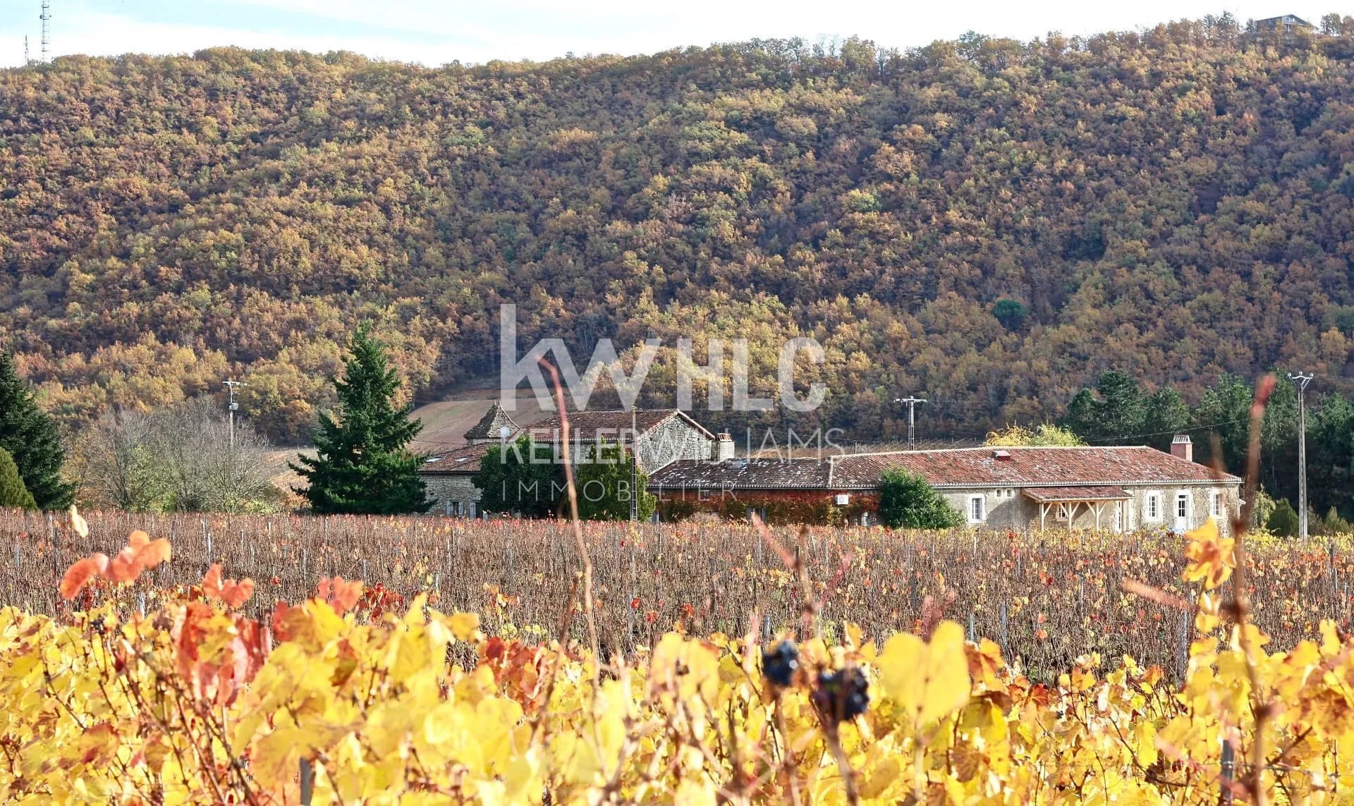 Château with Restaurant and Gîtes in the Heart of the Lot 5