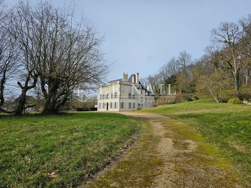19th Century Château with Extensive Estate in the Loire Valley 4