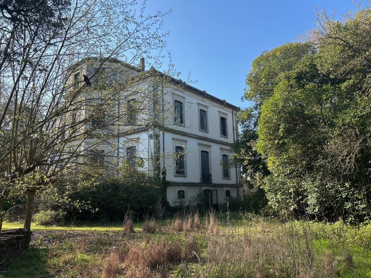 Elegant 19th Century Castle With Swimming Pool 4