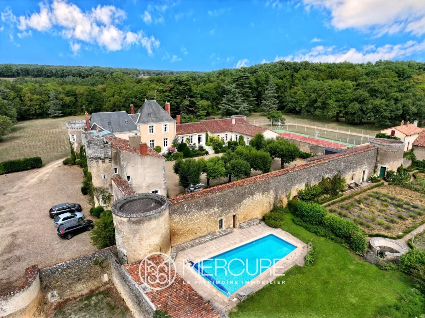 Historic Castle With Guest House And Pool Near Poitiers 2