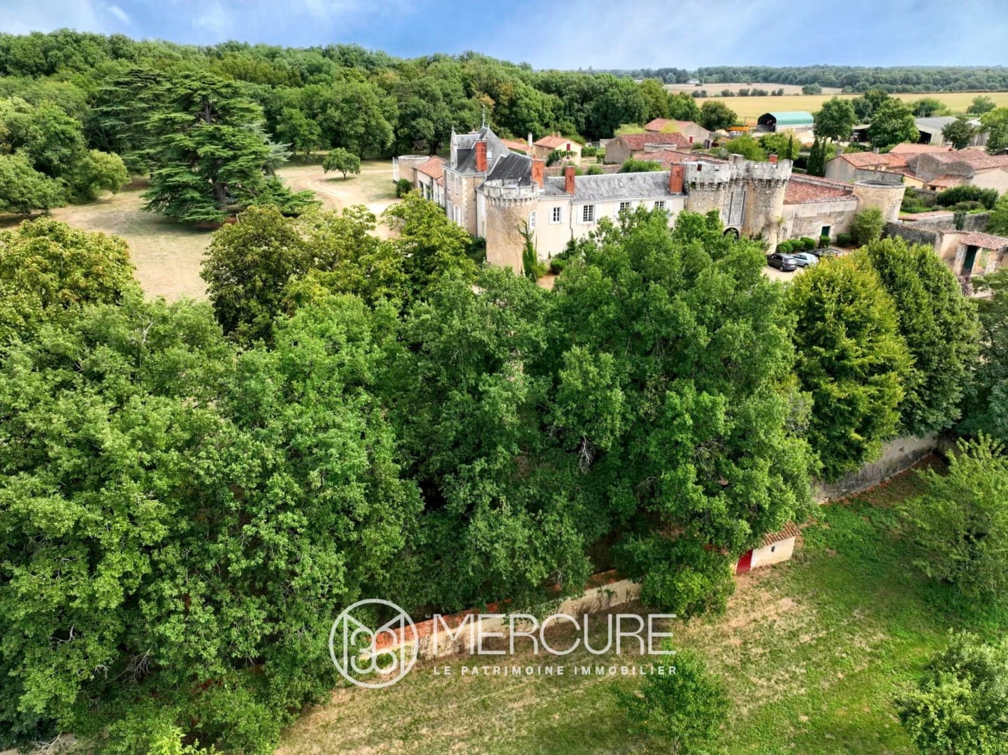 Historic Castle With Guest House And Pool Near Poitiers 3