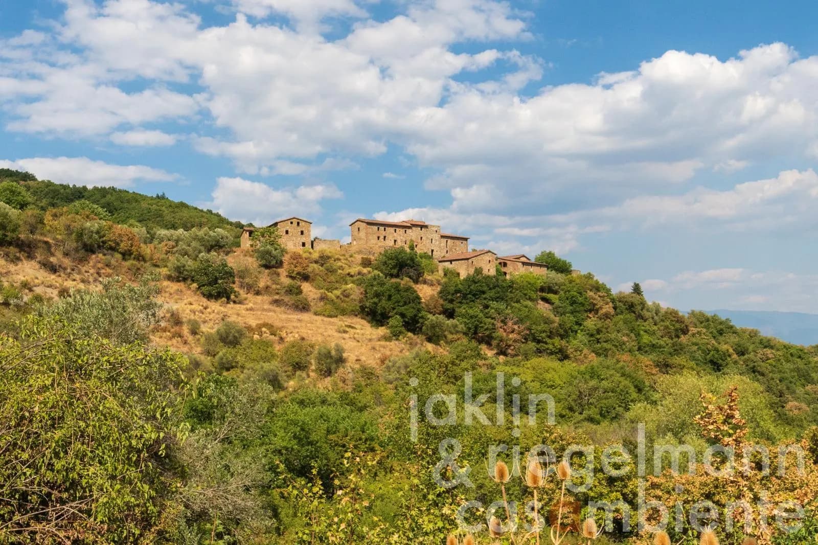 Restored 12th Century Castle With Olive Grove Near Florence 3