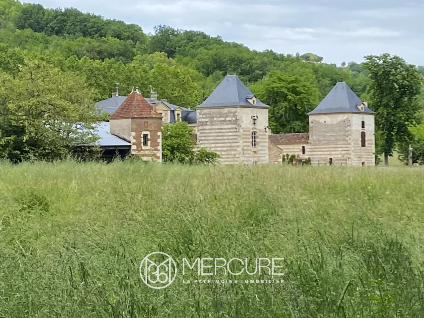 Restoration Opportunity for 18th Century Château with 42 Hectares 4