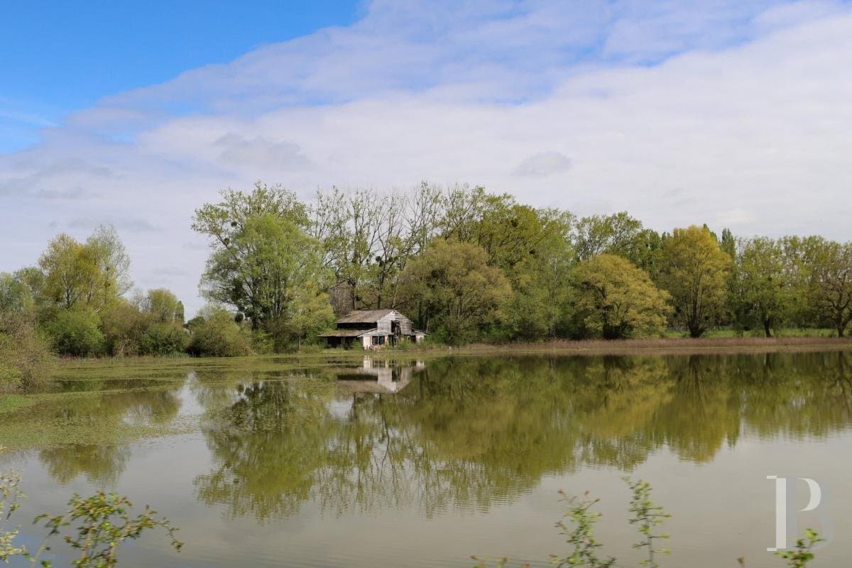 Historical Castle With Vast Outbuildings And 33 Hectares Of Grounds 5