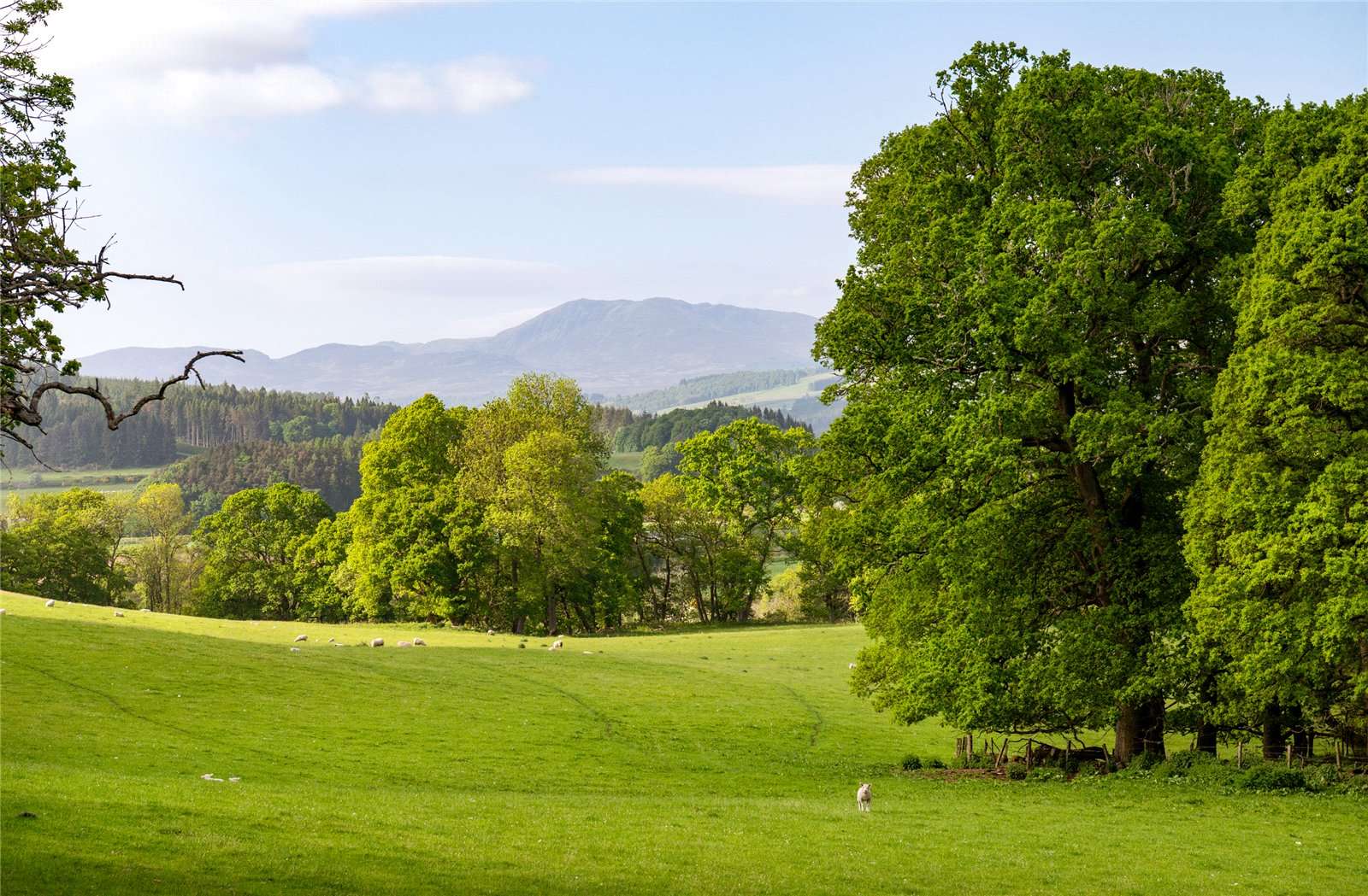 Castles for sale in Perthshire