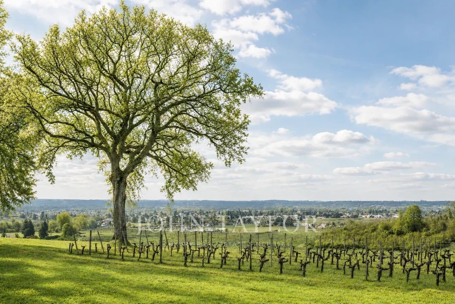 Organic Wine Estate With Panoramic Views Near Saint-Émilion 2