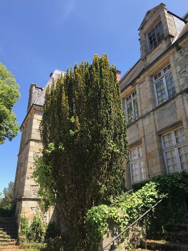Historic Château With Dovecote And Tower In Need Of Renovation 5
