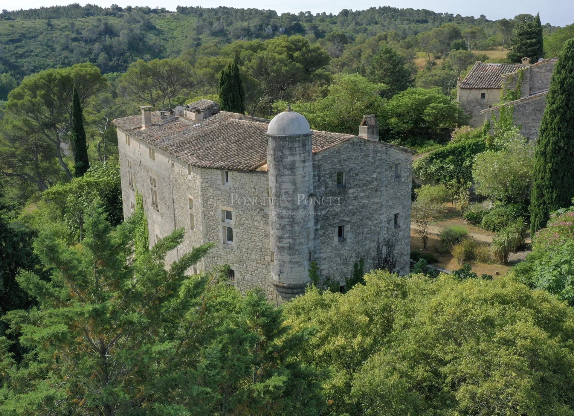 Exceptional Castle with Heated Indoor Pool and Gourmet Restaurant 3