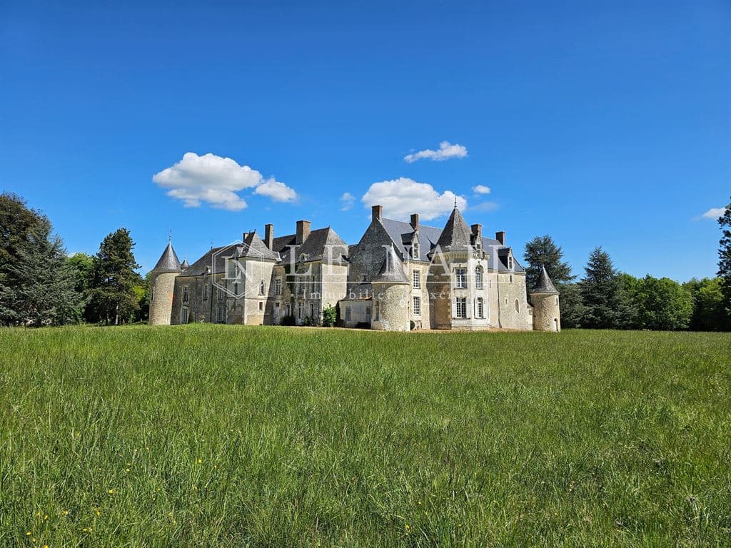 Elegant Château with Extensive Park and 11 Bedrooms 3