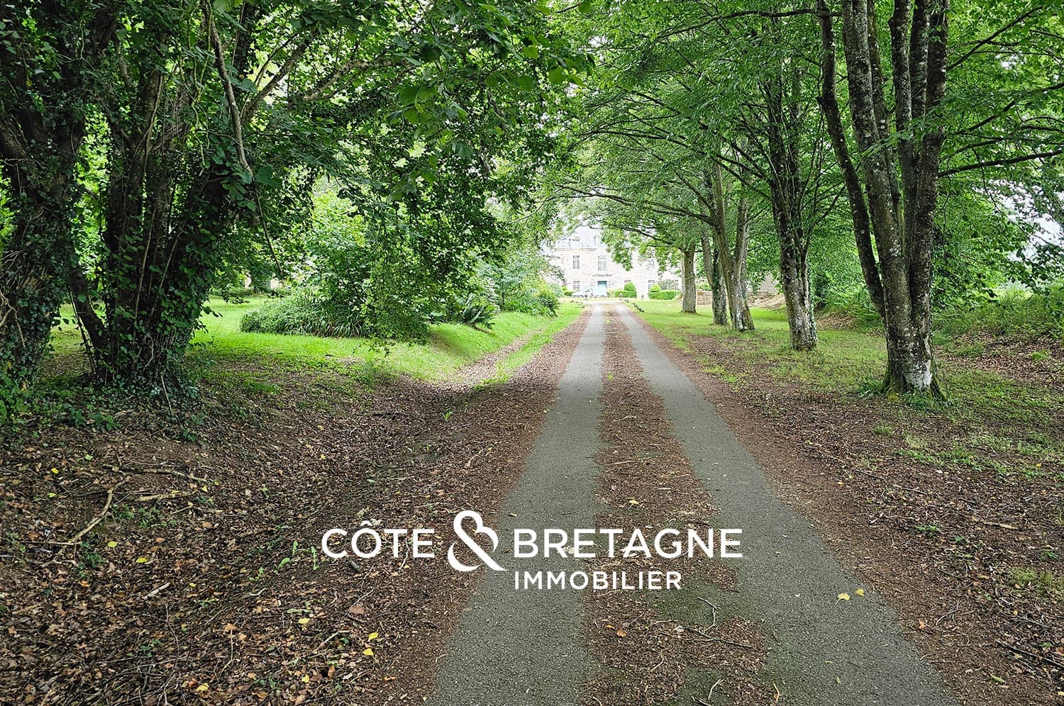 Prestigious Castle in Brittany 5