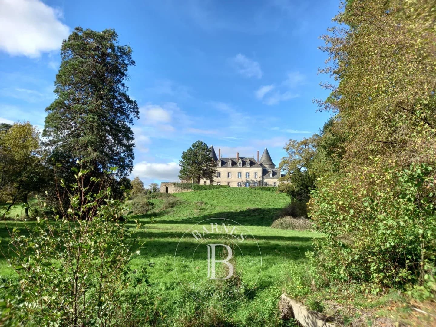 Castle 400 Sqm 7 Bedrooms 2