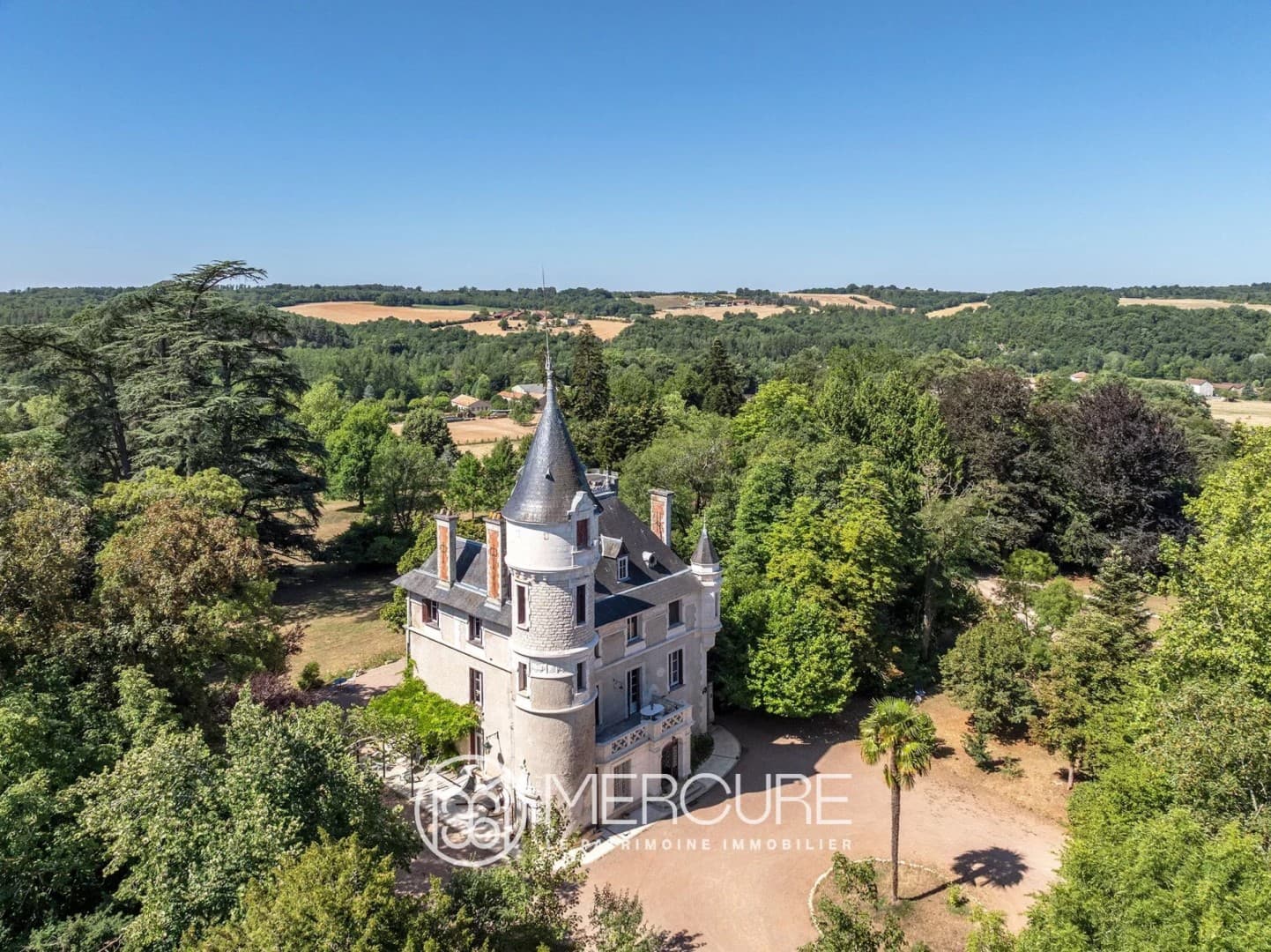 Renovated 19th Century Château With 9 Bedrooms And 9 Hectares Of Park 3