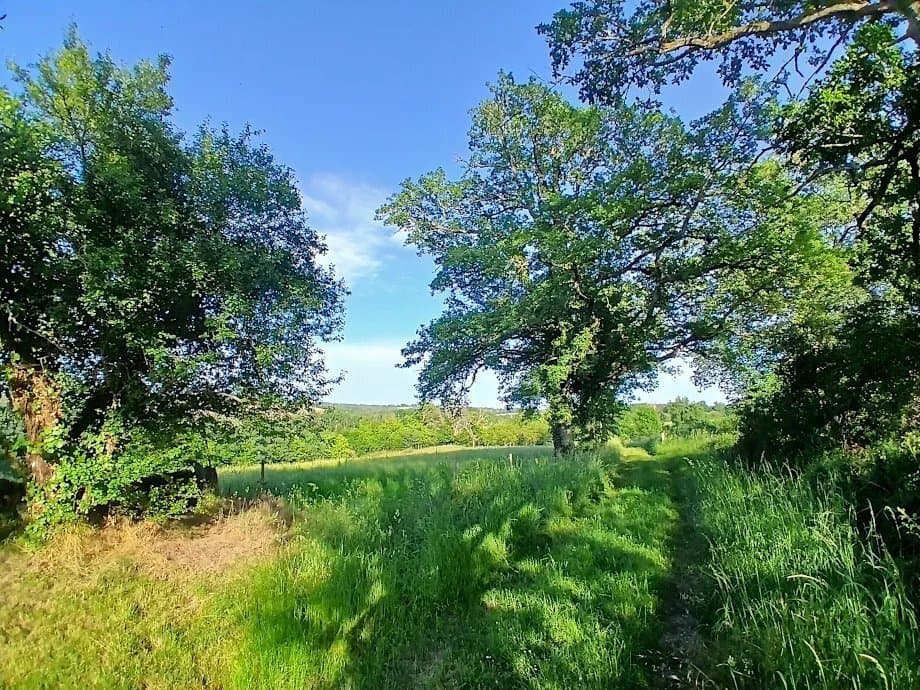 16th Century Castle With Guest House, Park, Paddocks And Woods 3