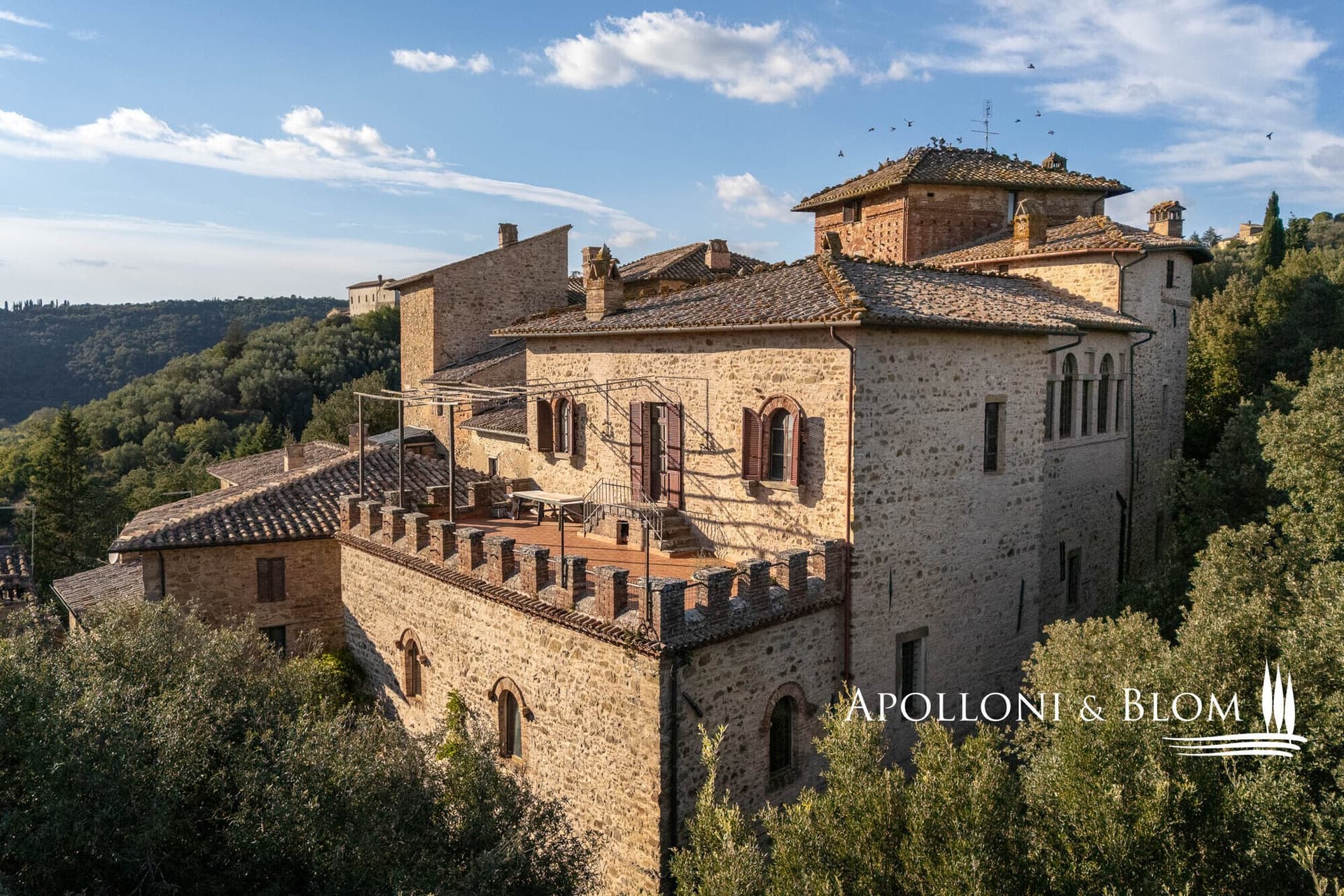 Historic Castle Estate With Vineyards And Olive Groves In Umbria 5
