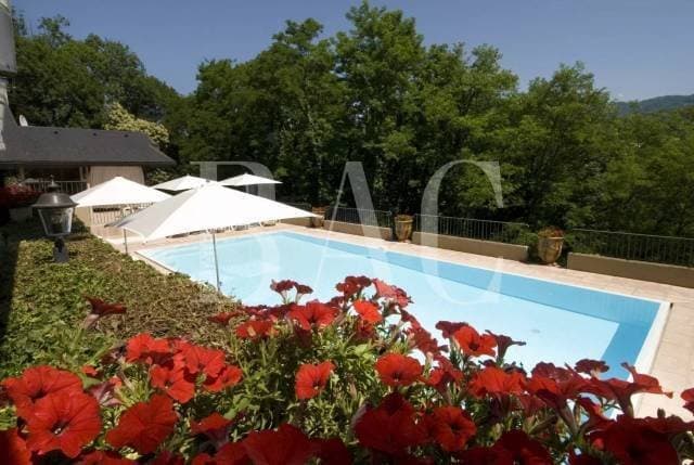 Magnificent Château With Infinity Pool And Large Terrace In The Alps