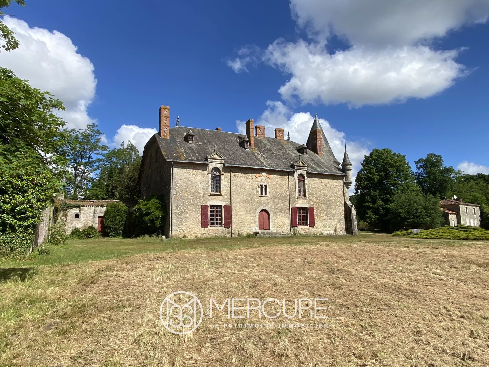 17th Century Castle With Extensive Outbuildings In The Vendée Countryside 3