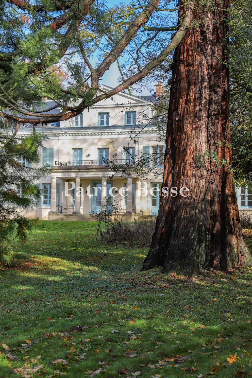 Neo-Palladian Château Set in 9 Hectares of Lush Grounds 5