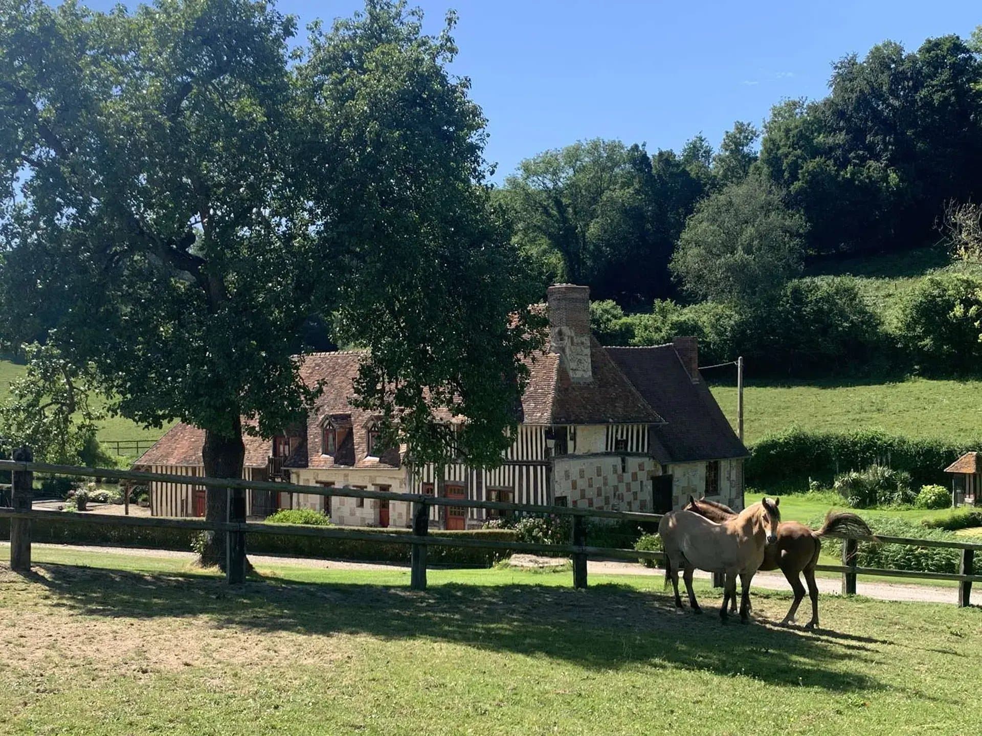 Exceptional Horse Breeding Stud With Historic Manor And 48 Hectares 5