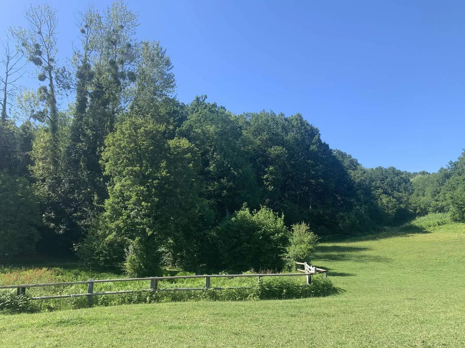 Exceptional Horse Breeding Stud With Historic Manor And 48 Hectares 3