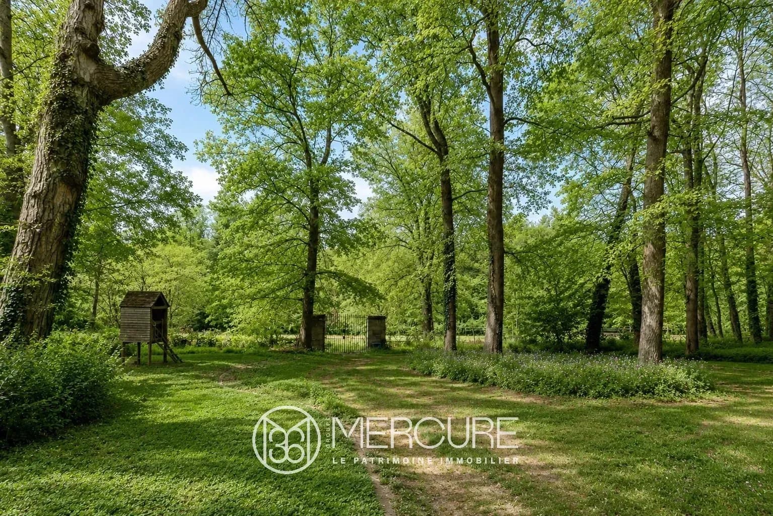 Elegant 19th Century Château With Covered Pool And Horse Pasture 4