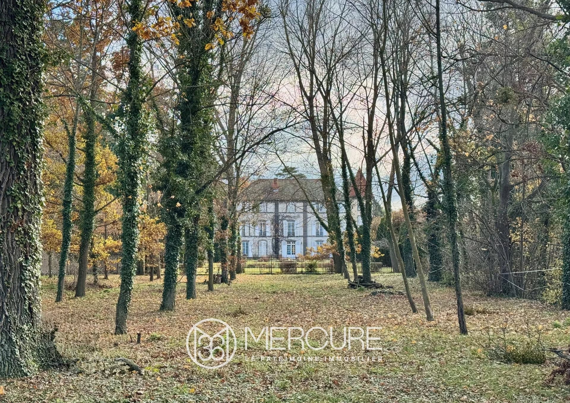Exceptional 18th Century Château With Outbuildings, Pool, And Tennis Court 4