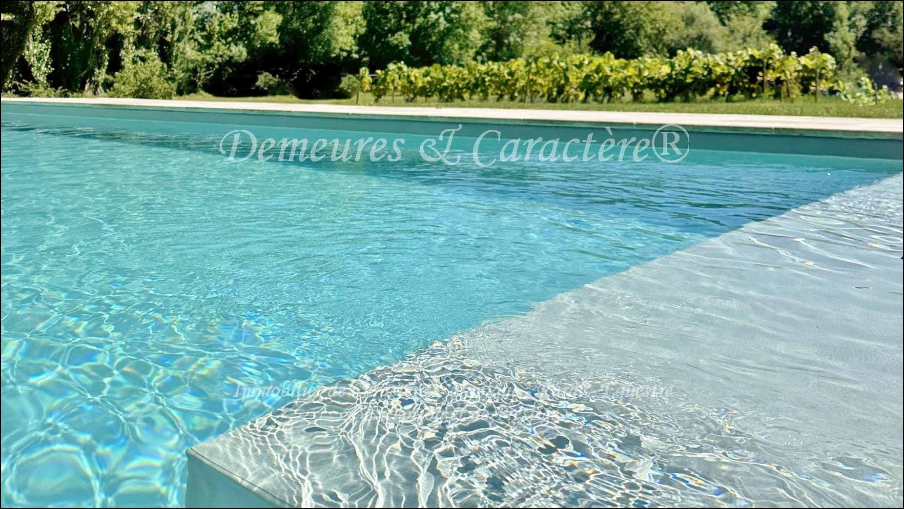 Château With Gîtes, Reception Hall, Heated Swimming Pool, And Stables 2
