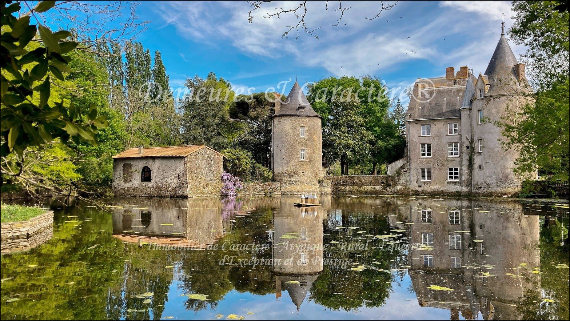 Château With Gîtes, Reception Hall, Heated Swimming Pool, And Stables 3