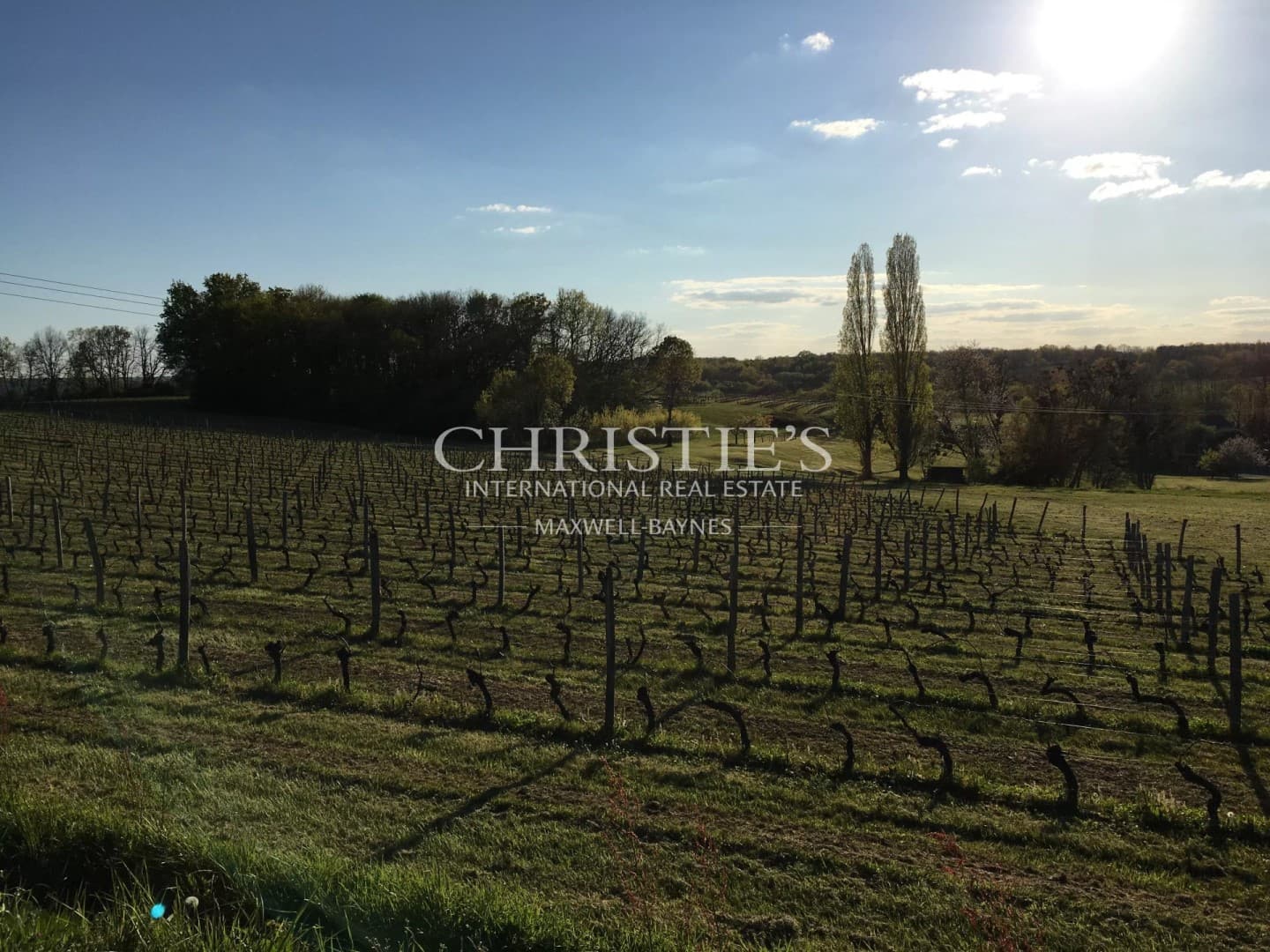 Elegant Château with 8 Bedrooms and 33 Hectares of Vineyards 5