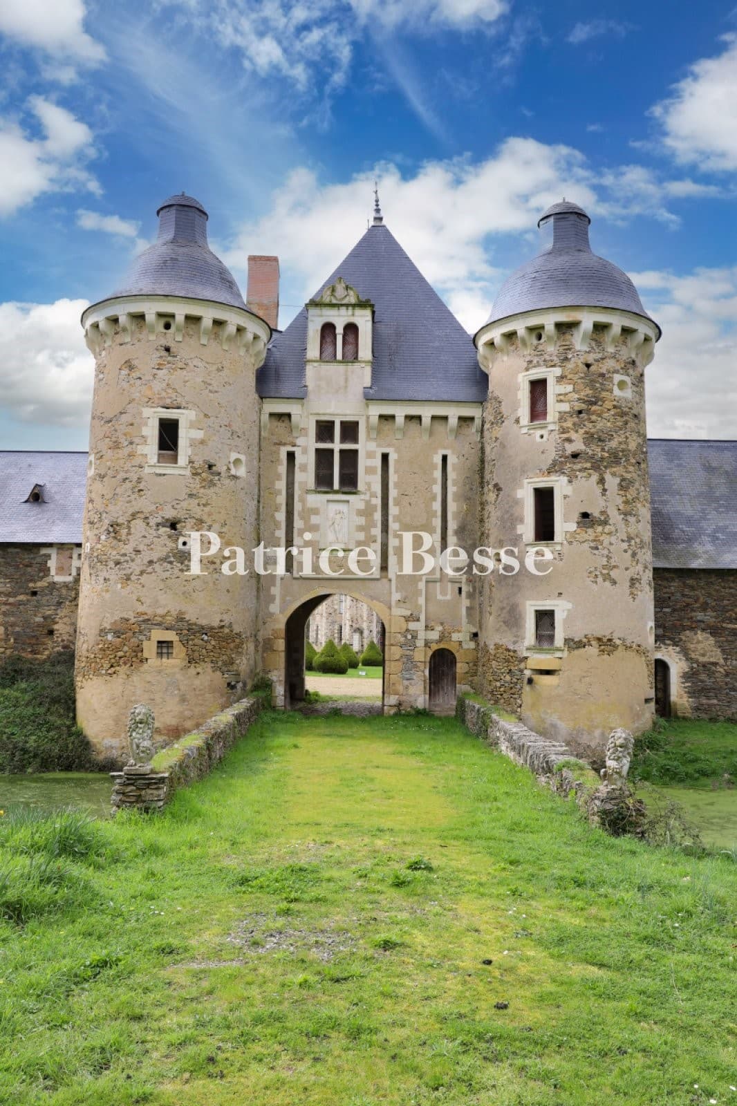 Remarkable Castle With Chapel And Extensive Grounds In Anjou — in Anjou, France