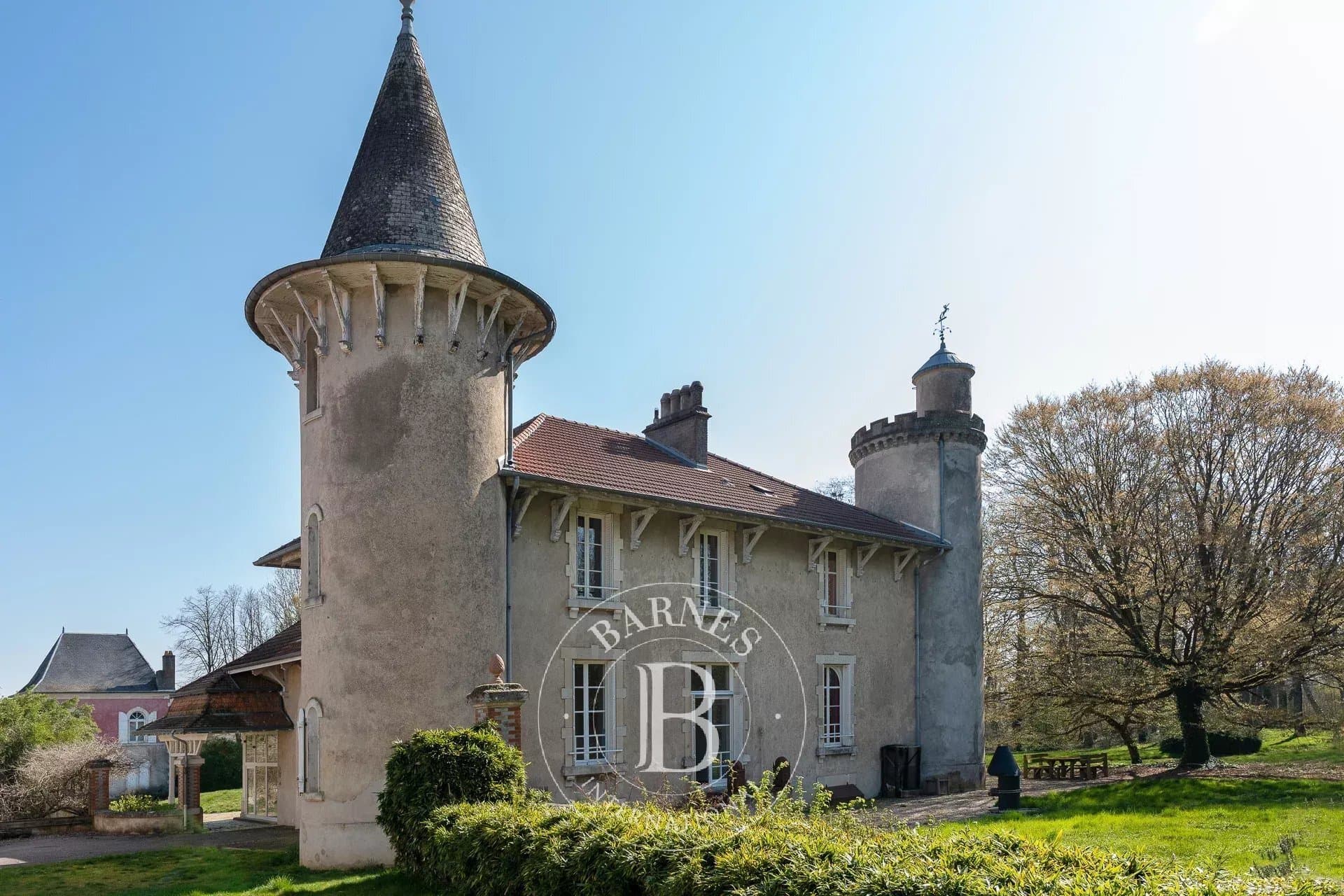 Historic Château with Reception Hall and Wellness Area in a Natural Park 2