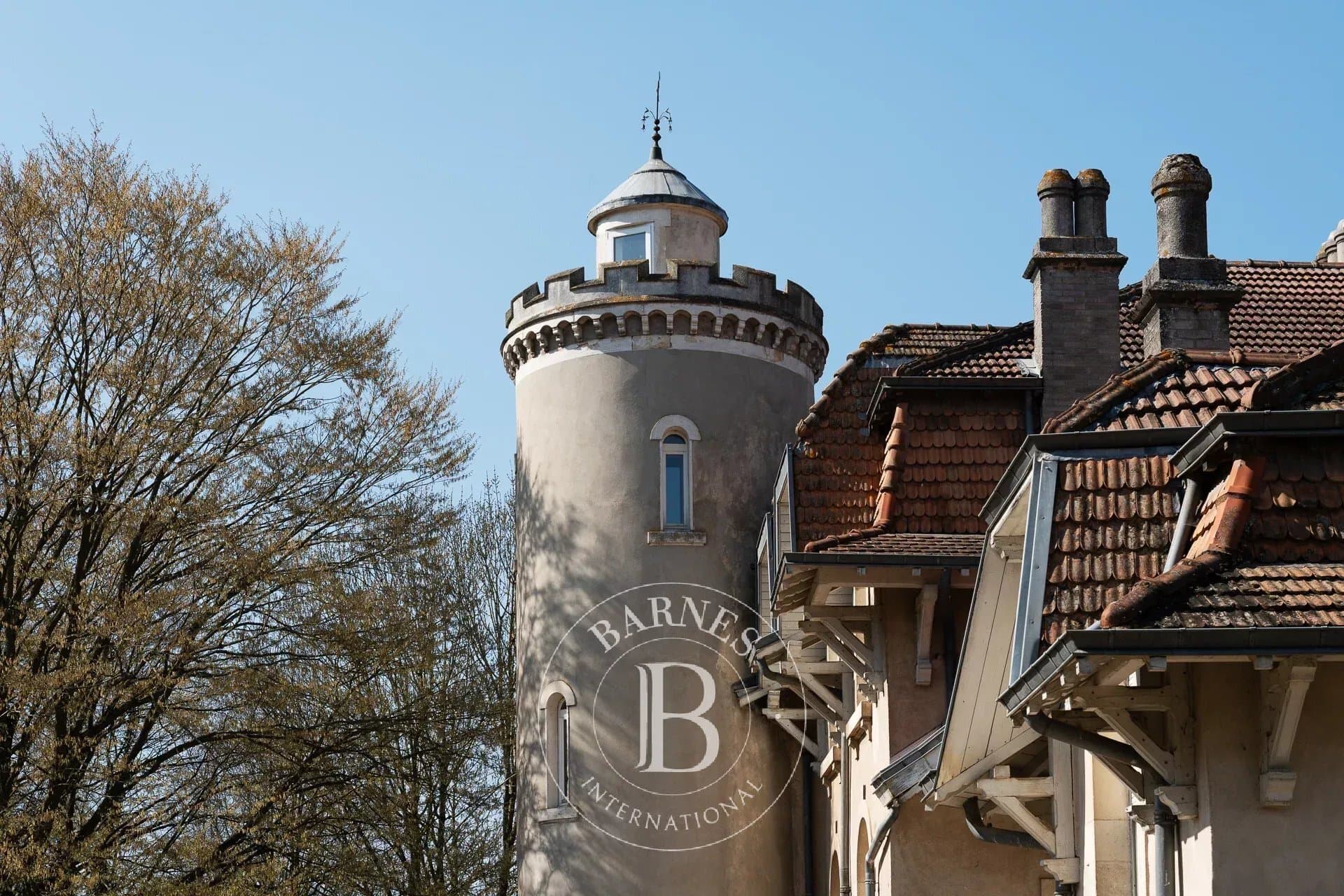 Historic Château with Reception Hall and Wellness Area in a Natural Park 4