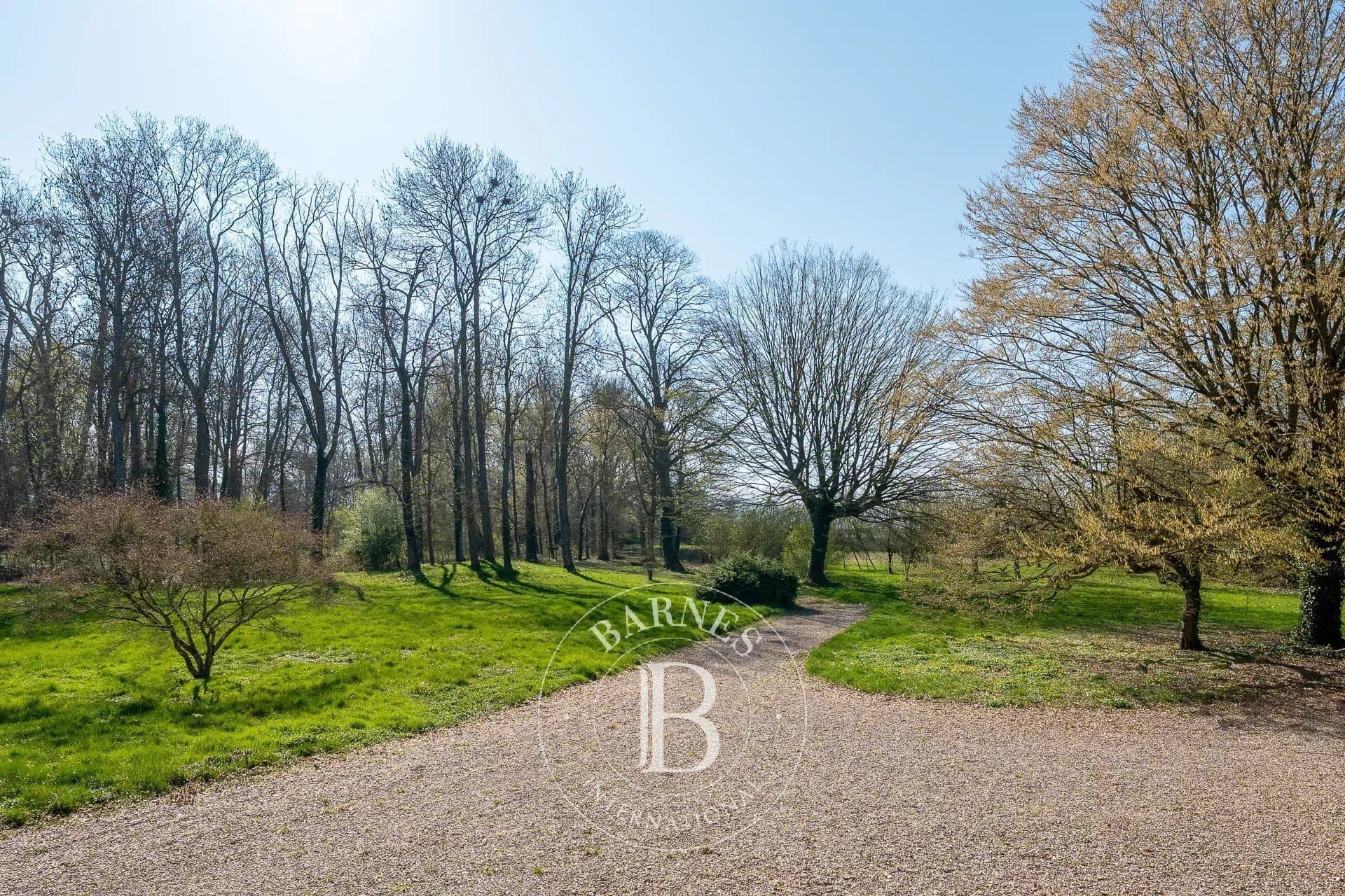Historic Château with Reception Hall and Wellness Area in a Natural Park 5