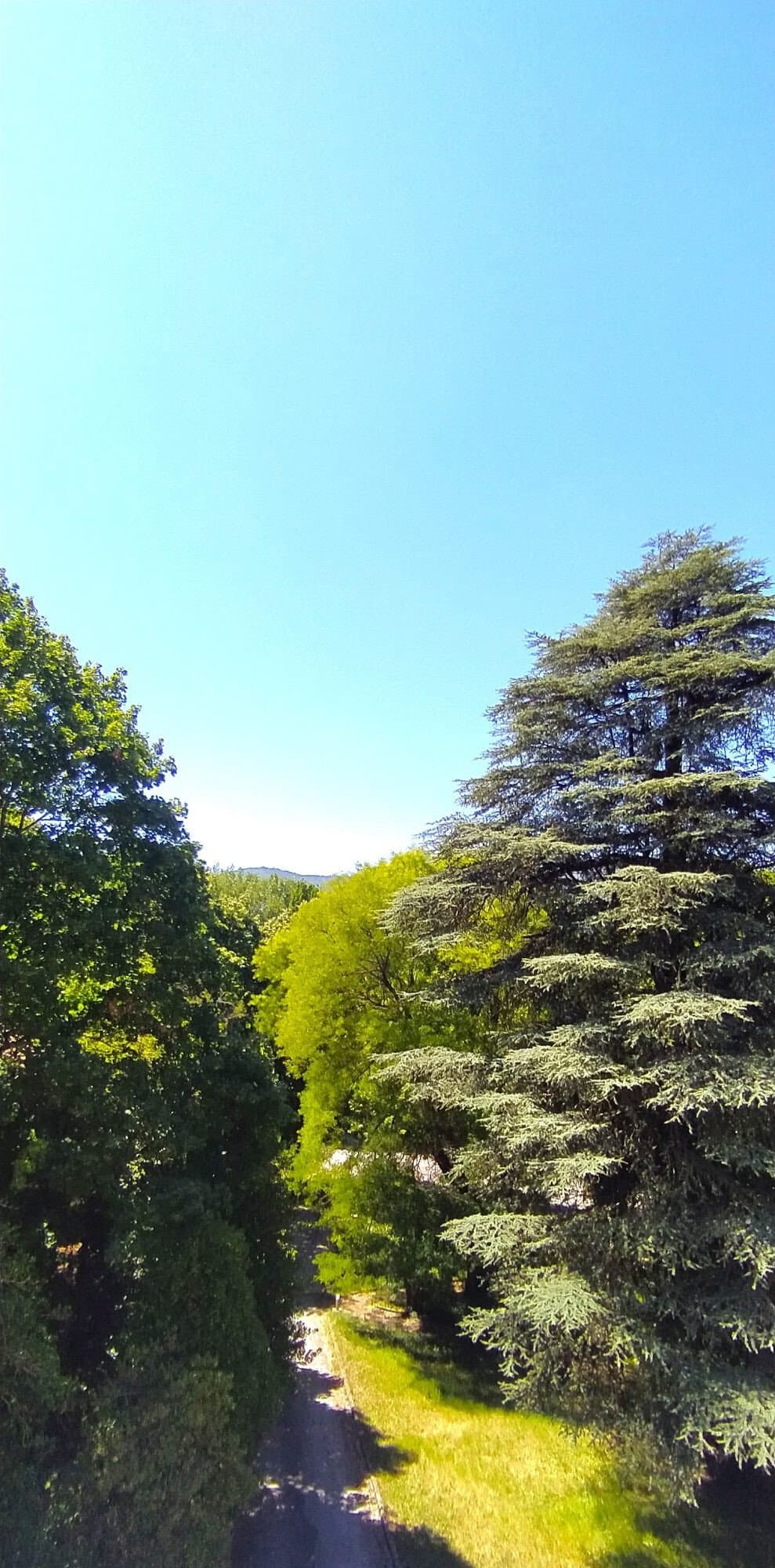 19th Century Château With Expansive Grounds And Versatile Outbuildings 3