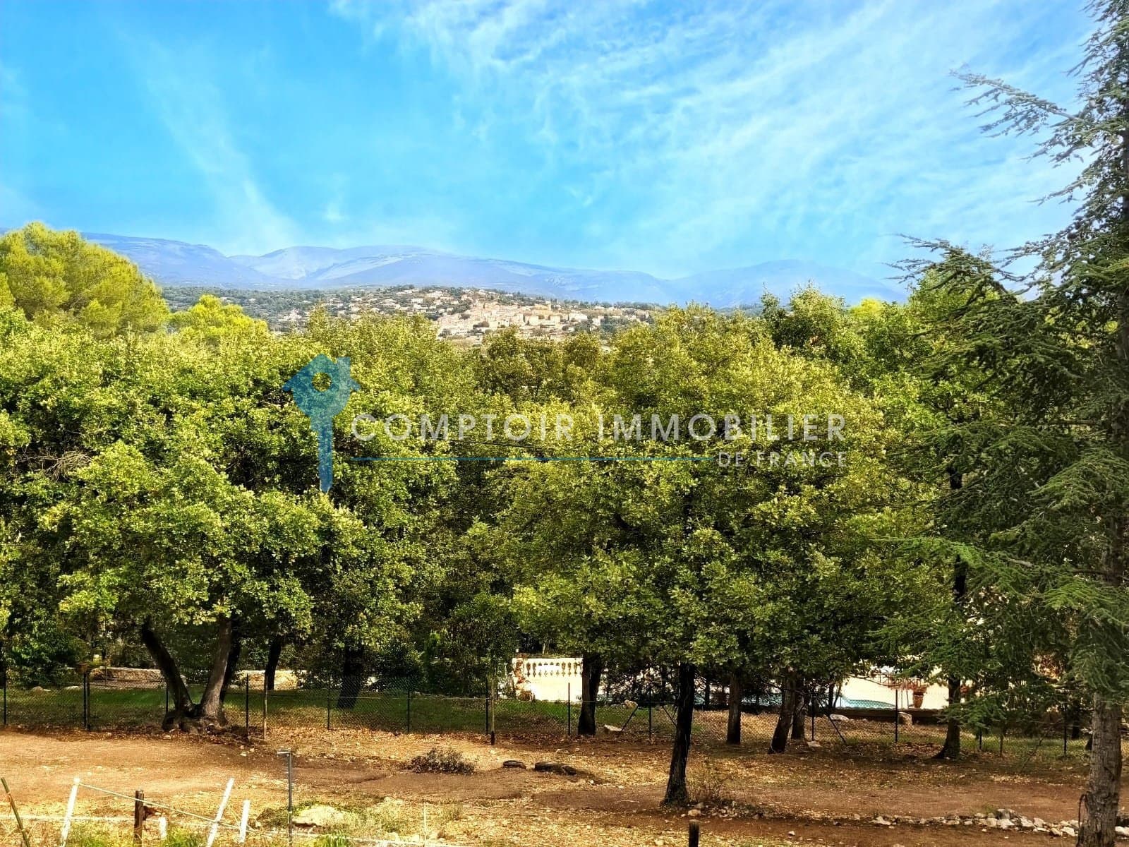 Exceptional Villa with Panoramic Terrace and Equestrian Facilities 5