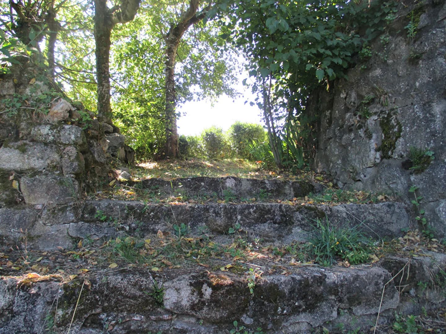 Historic Château Overlooking the Dore Gorges 3