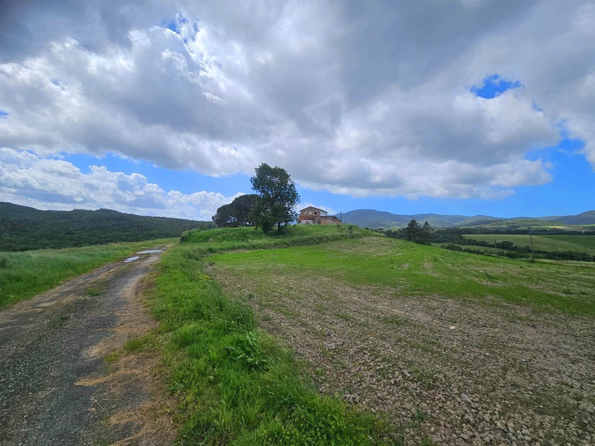 Renovation Opportunity Farmhouse With Olive Trees And Forest — in Italy