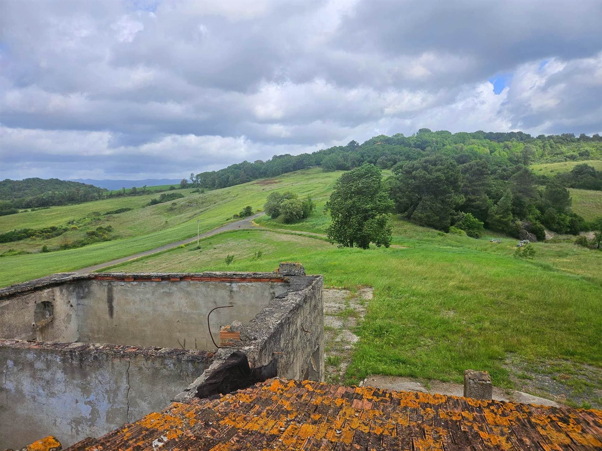 Renovation Opportunity Farmhouse With Olive Trees And Forest 2