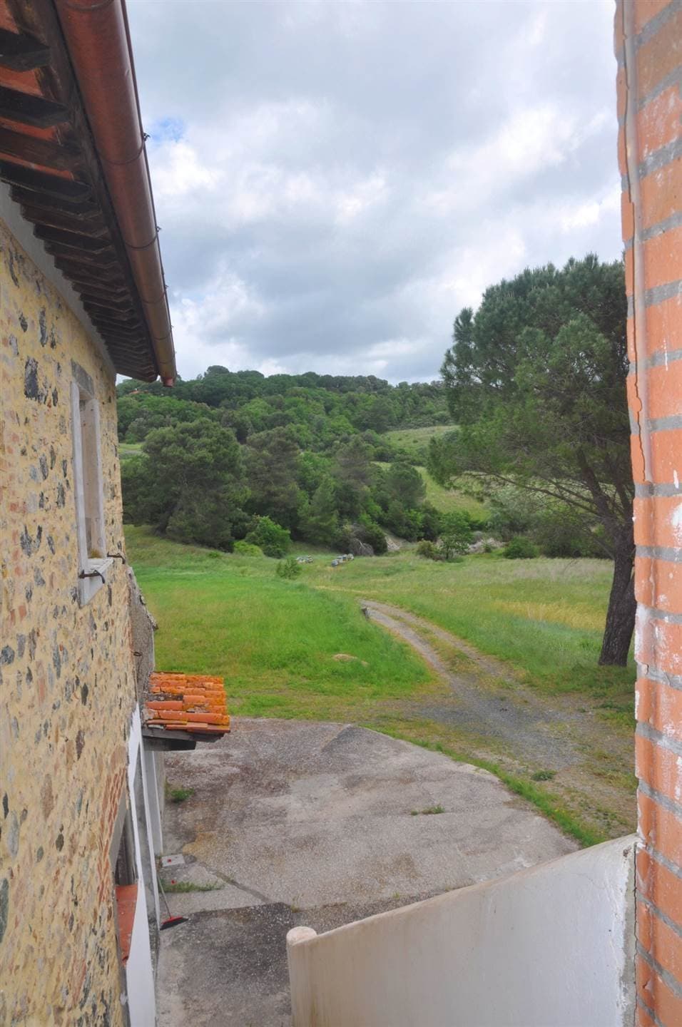 Renovation Opportunity Farmhouse With Olive Trees And Forest 3