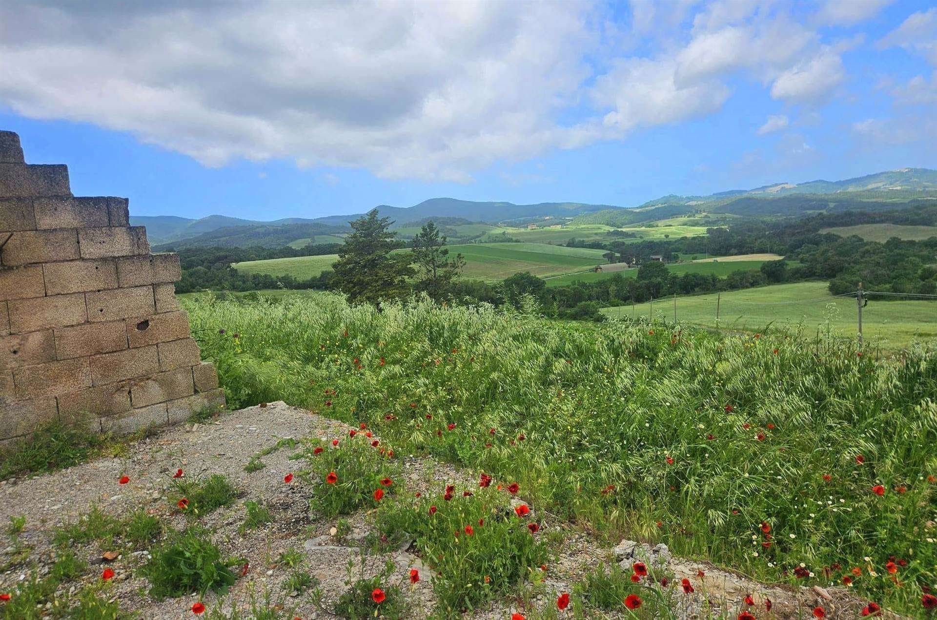 Renovation Opportunity Farmhouse With Olive Trees And Forest 4