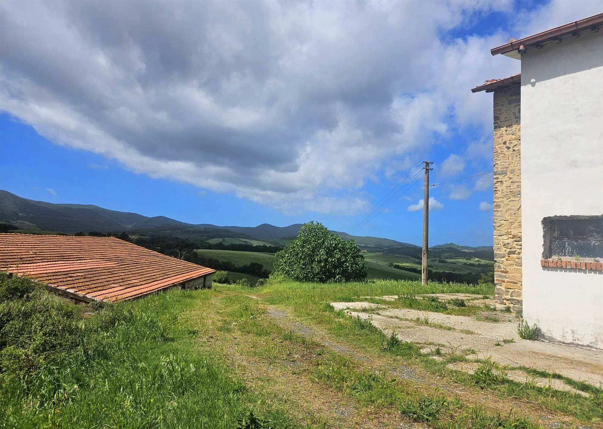 Renovation Opportunity Farmhouse With Olive Trees And Forest 5