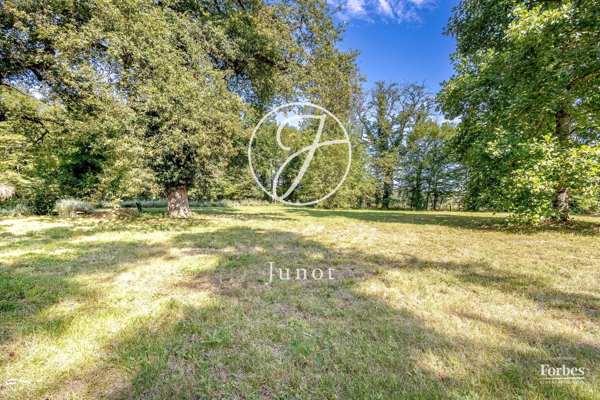 Exceptional Neo-Gothic Château With Development Potential 5