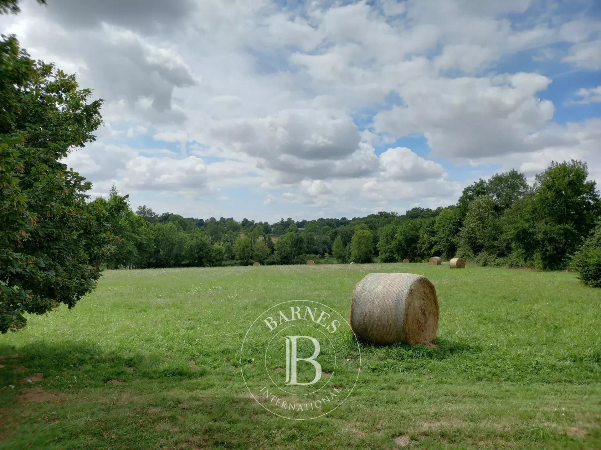 Château with 311 Sqm and 5 Bedrooms in a 6 Hectare Countryside Setting 5