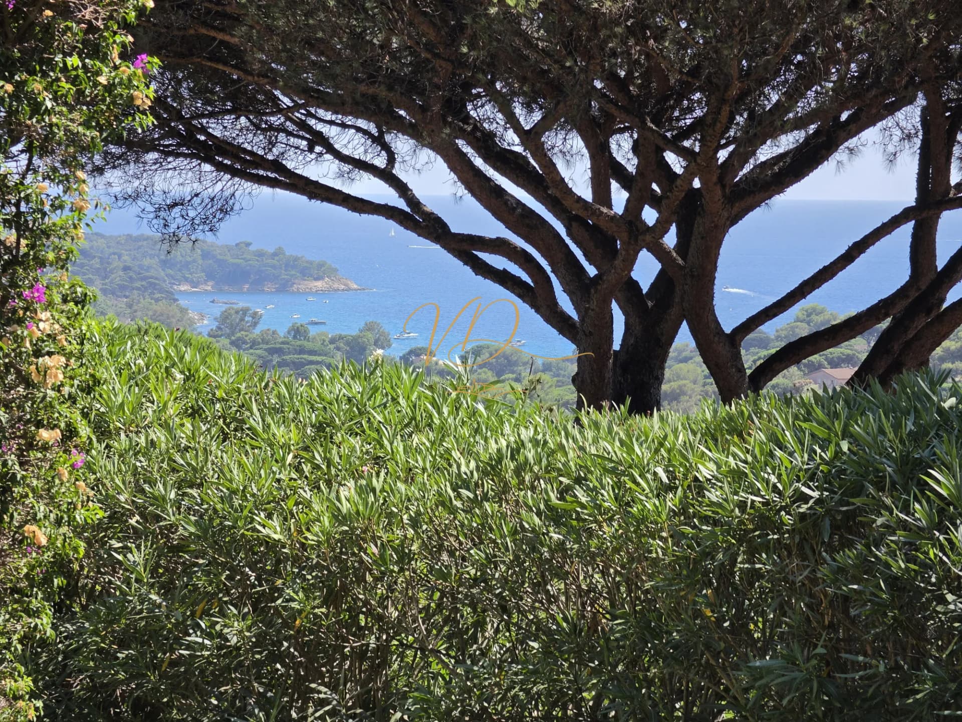 Luxurious Neo-Provençal Villa with Infinity Pool and Sea Views 3