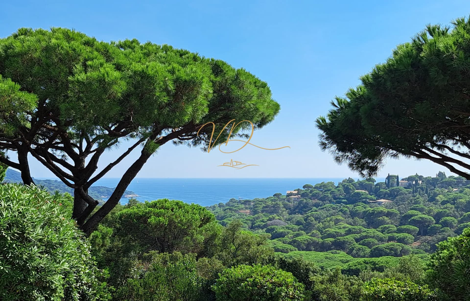 Luxurious Neo-Provençal Villa with Infinity Pool and Sea Views 5