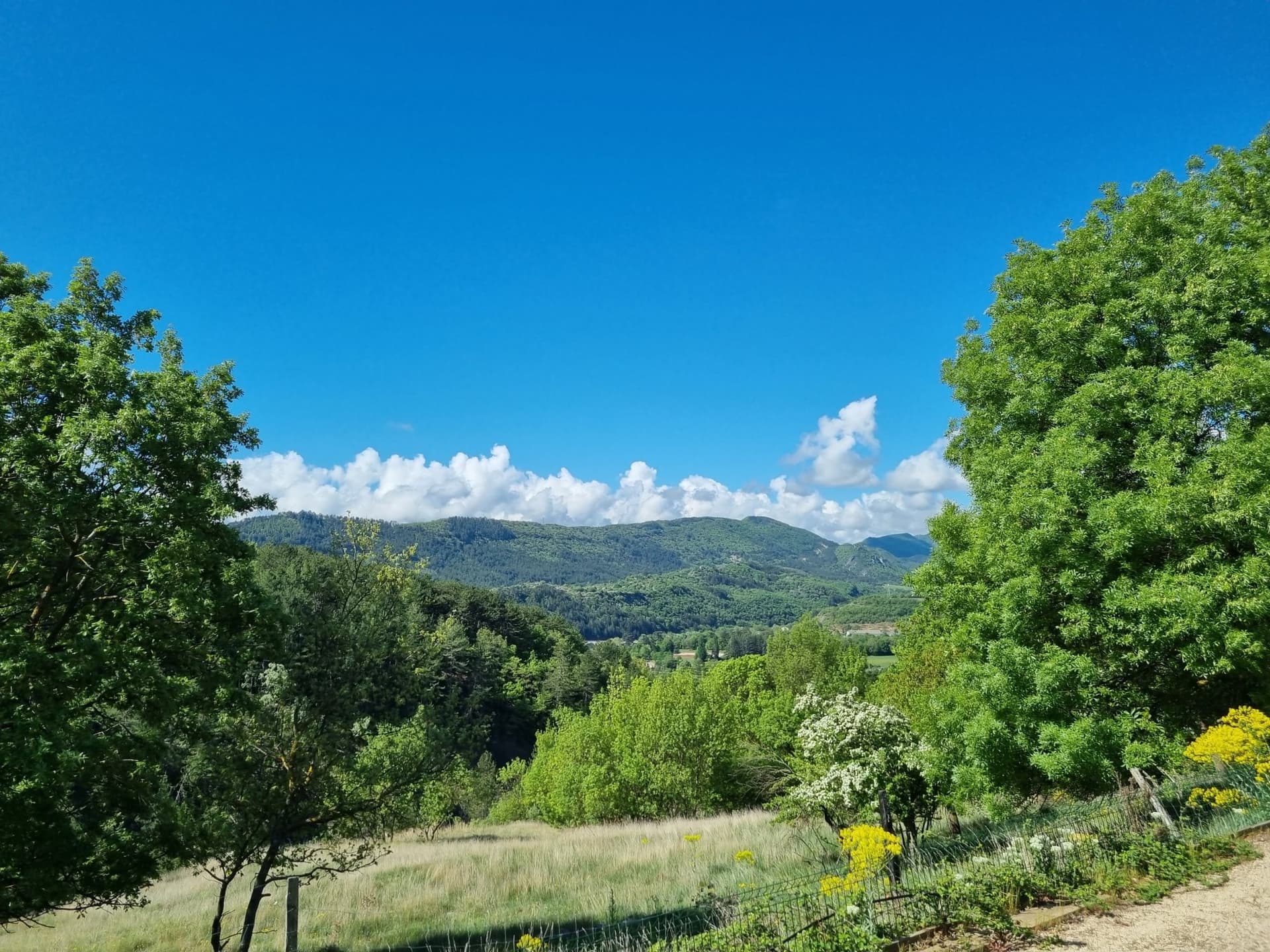 Charming Property With Guest House And Swimming Pool 5