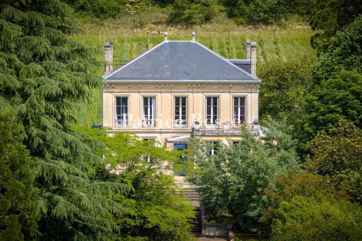 Elegant 19th Century Château With Vineyard And Stone Outhouses