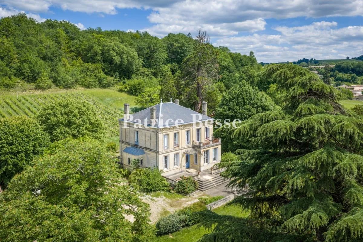 Elegant 19th Century Château With Vineyard And Stone Outhouses 2
